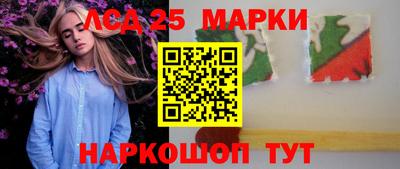 прущие грибы Заводоуковск