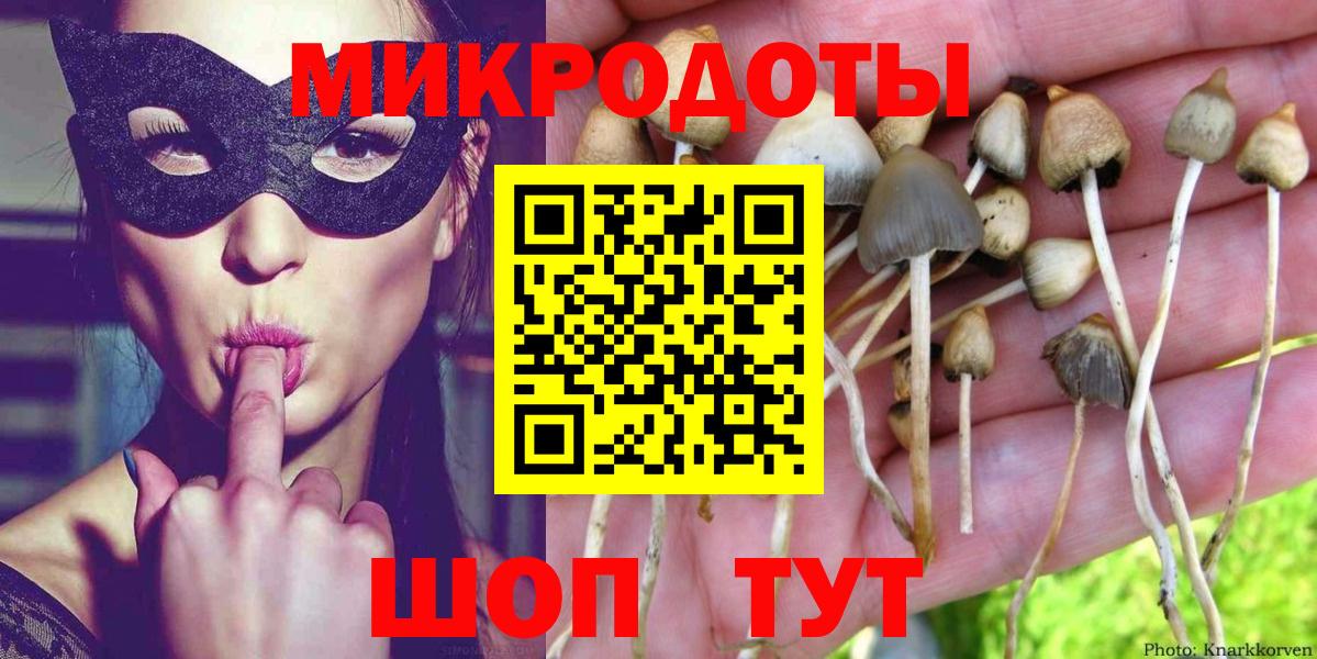Галлюциногенные грибы мухоморы Соль-Илецк