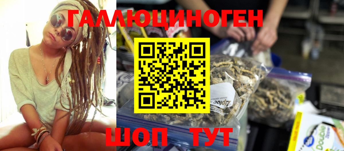 Соль-Илецк  где купить наркотик  Вход с VPN  Псилоцибиновые грибы Cubensis 